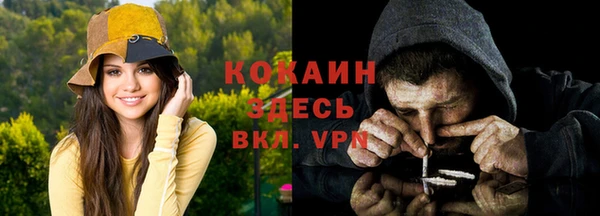 бошки Богданович