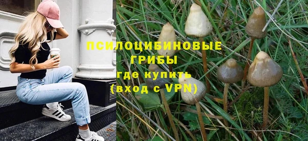 бошки Богданович