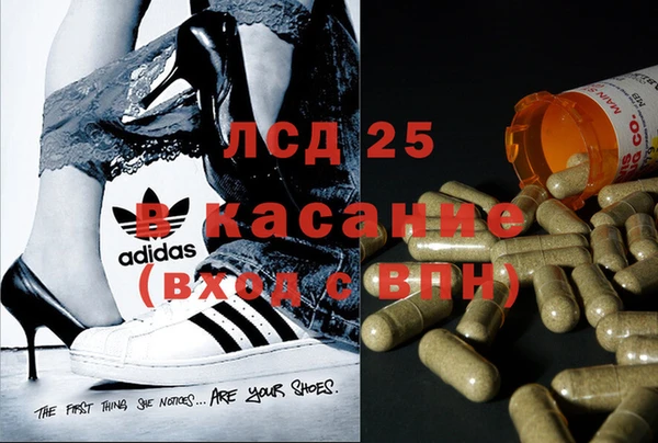 бошки Богданович