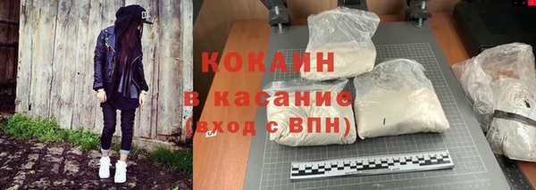 бошки Богданович