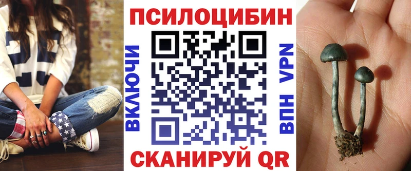 Псилоцибиновые грибы Psilocybine cubensis  где продают   Усолье 